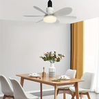 2-in-1 Portable Ceiling Fan & Light With Remote Control