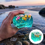 🐚 Island Shell Squishy Toy