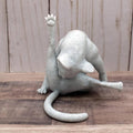 😹 Funny Licking Butt Cat Figurine
